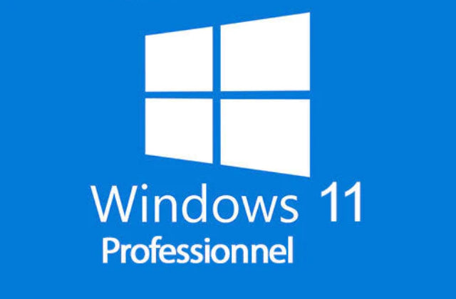 Windows 11 Pro | Clé d'Activation à vie, et en ligne | 1 PC - informati
