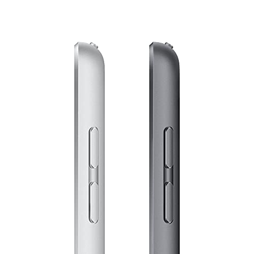 Apple 2021 iPad (10,2", Wi-Fi, 256 GB) - informati